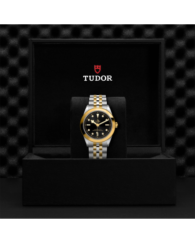 Tudor Black Bay 31/36/39/41 S&G 39 mm steel case, Steel and yellow gold bracelet (watches)